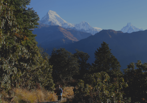 Langtang view-Himalayan Eco Cultures Trek And Research Expedition